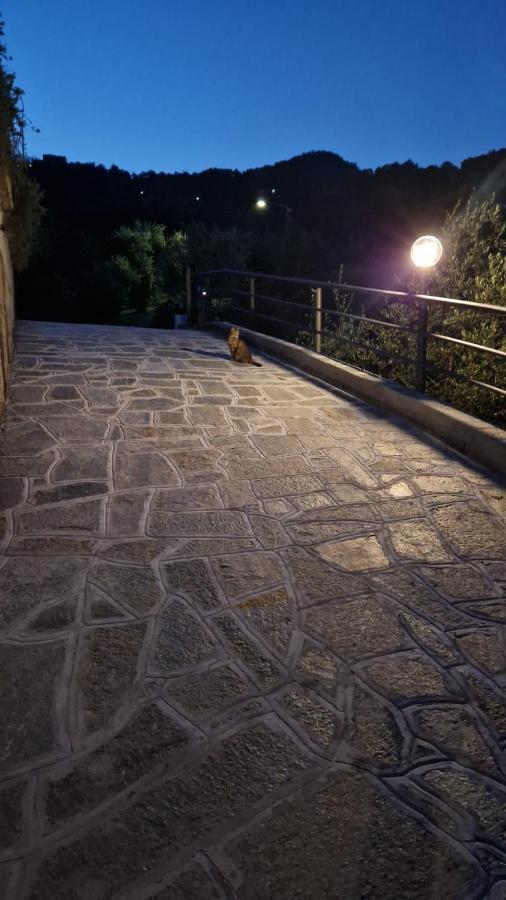 Villa Degli Ulivi Tivegna Esterno foto