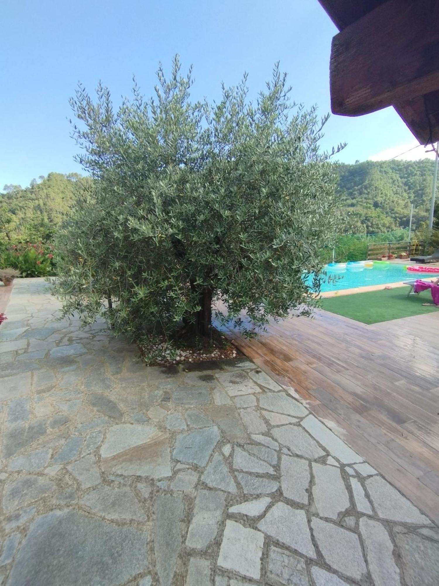 Villa Degli Ulivi Tivegna Esterno foto