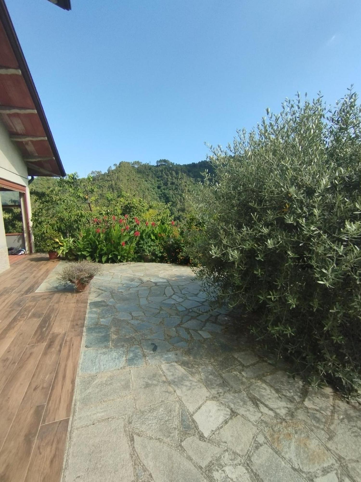 Villa Degli Ulivi Tivegna Esterno foto