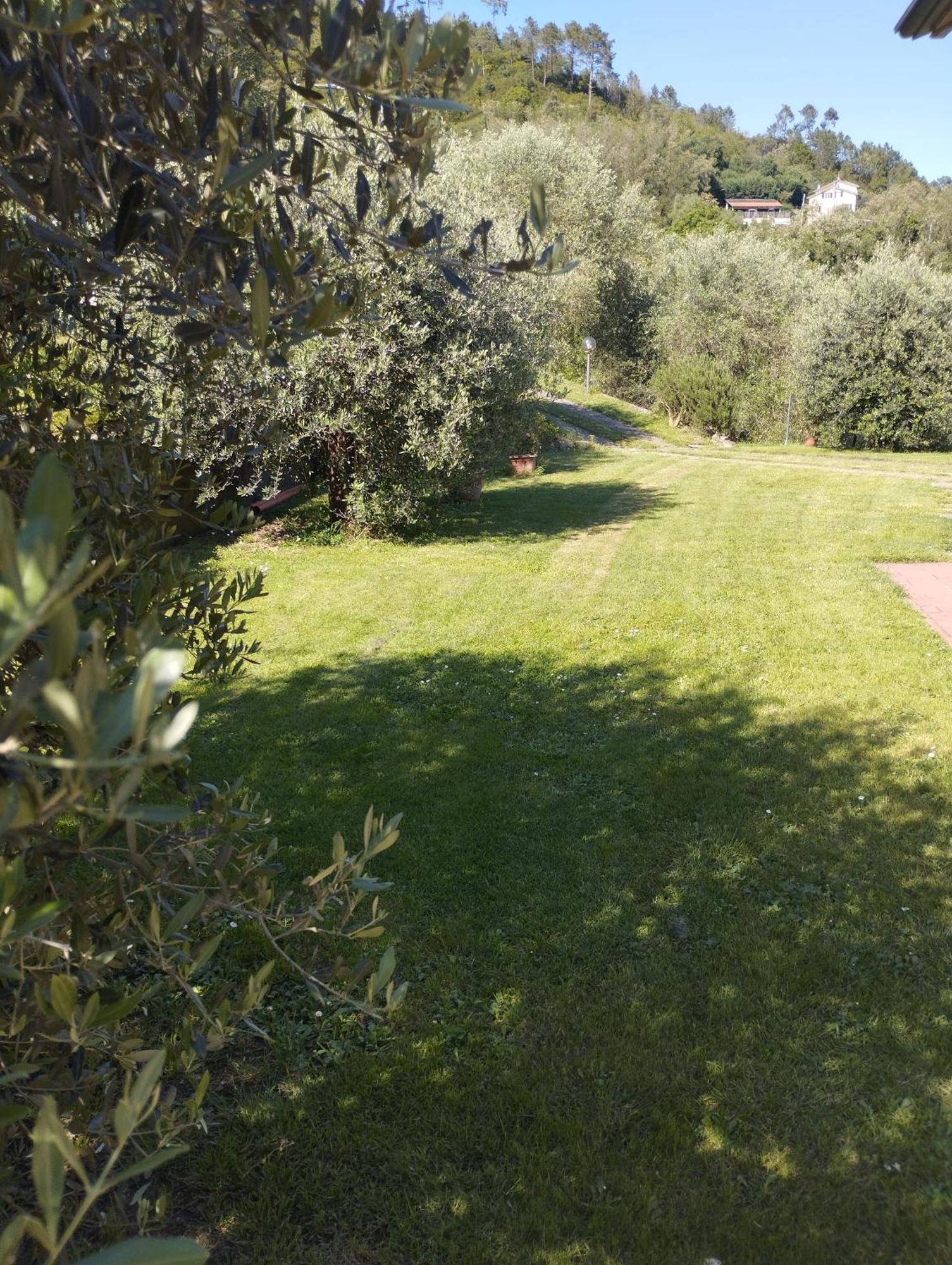 Villa Degli Ulivi Tivegna Esterno foto
