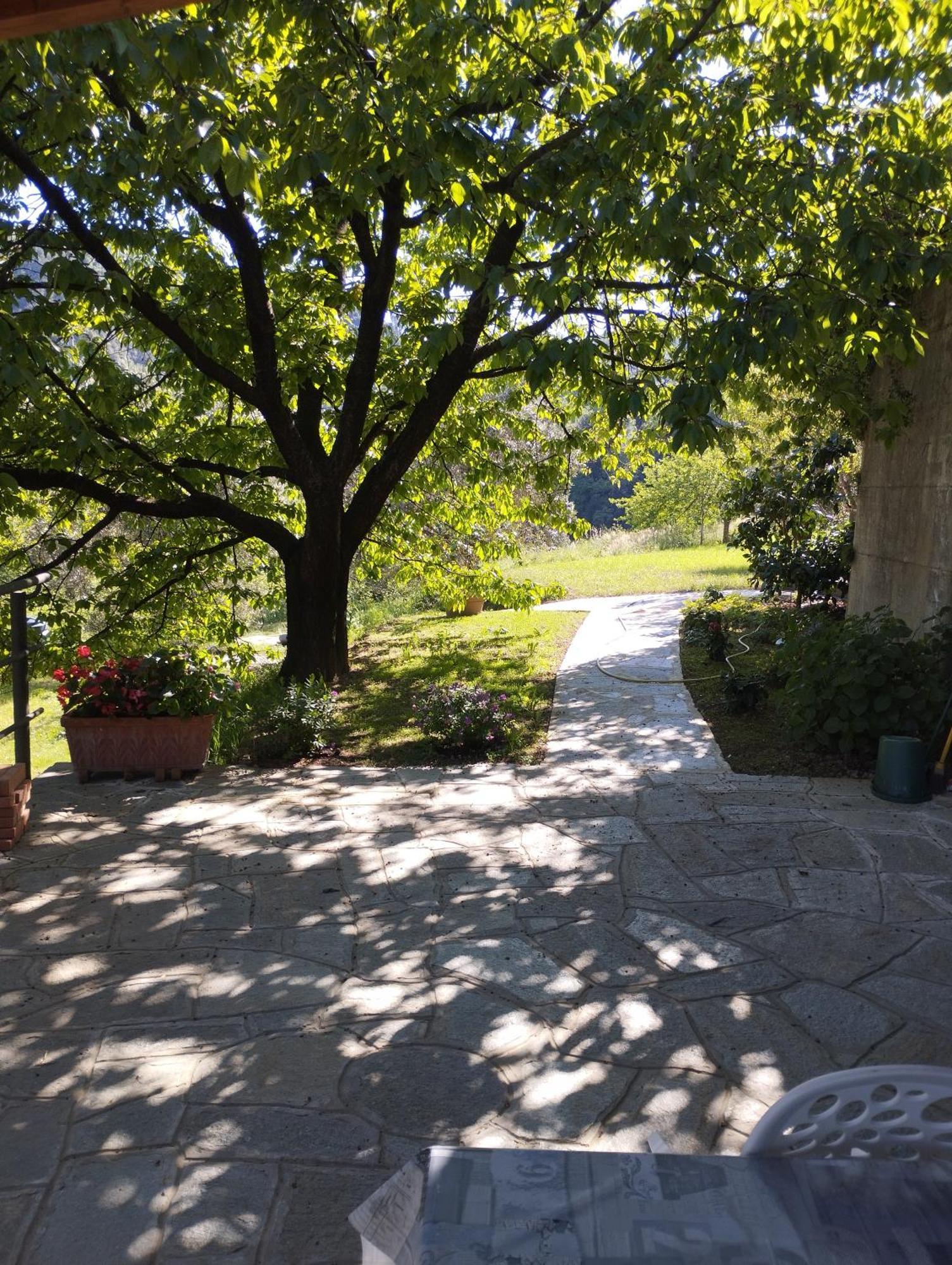 Villa Degli Ulivi Tivegna Esterno foto