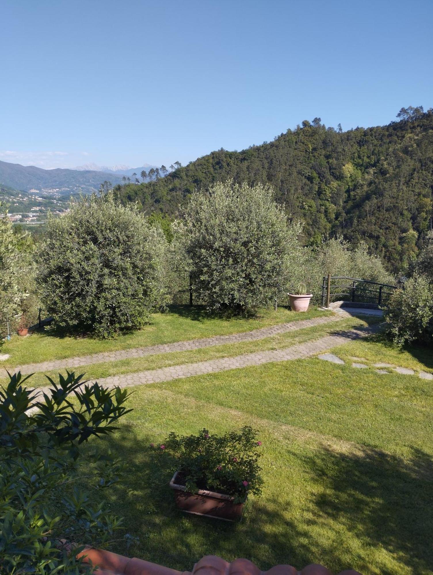 Villa Degli Ulivi Tivegna Esterno foto