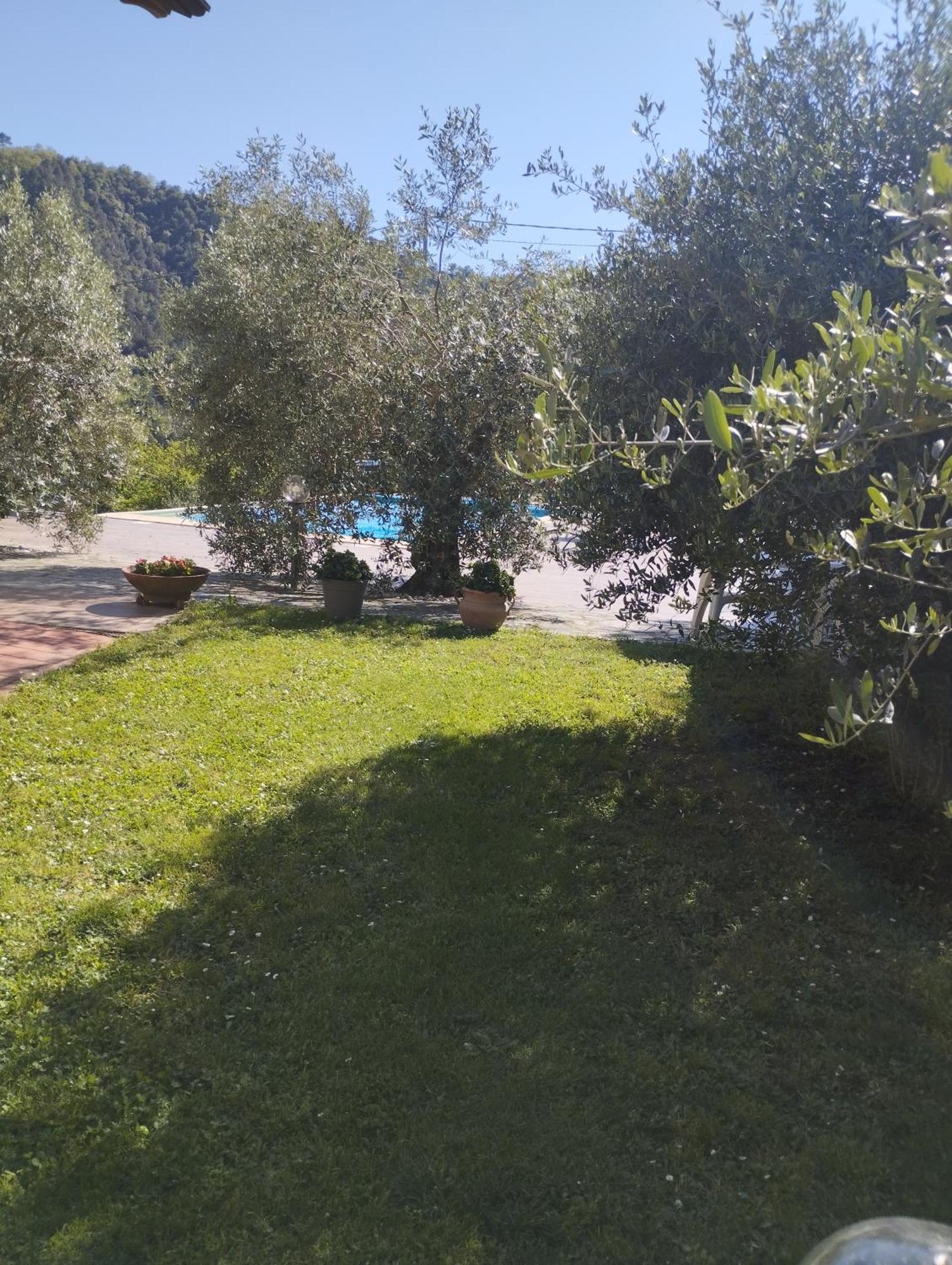 Villa Degli Ulivi Tivegna Esterno foto